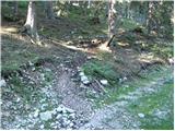 Zadnji travnik - Obel kamen (Olševa)